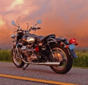 click to view full size